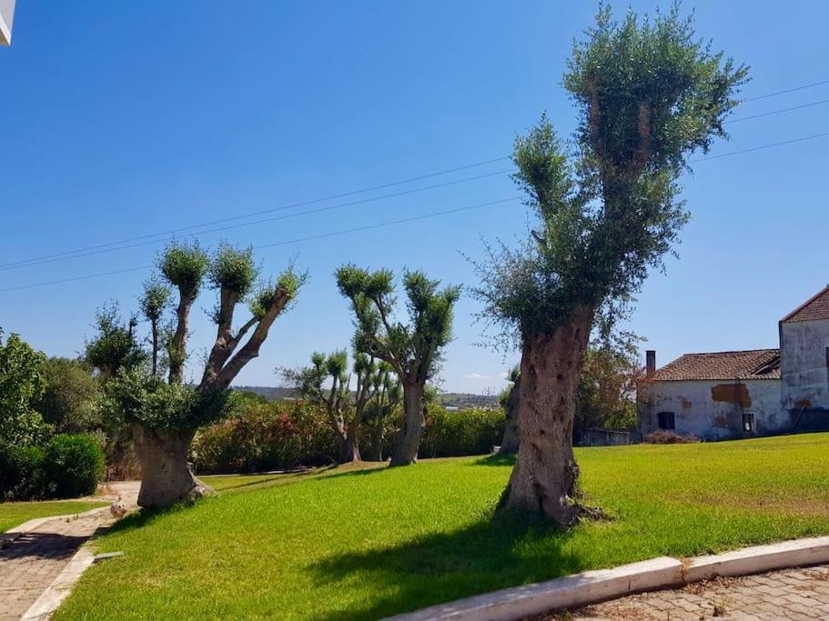 Mexilhoeira Grande Blue Skies Villas 1&2 מראה חיצוני תמונה